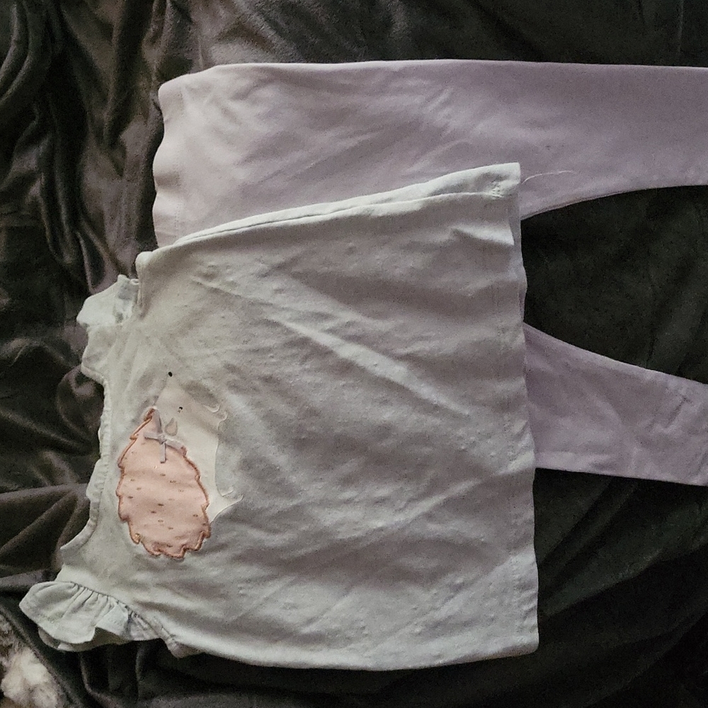 24 month Toddler Girl Hedghog outfit